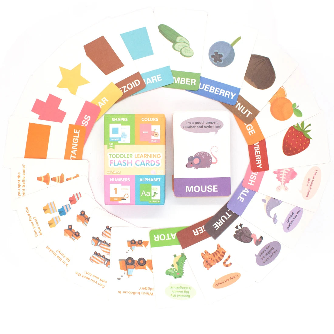 Learning and Development Flashcards
