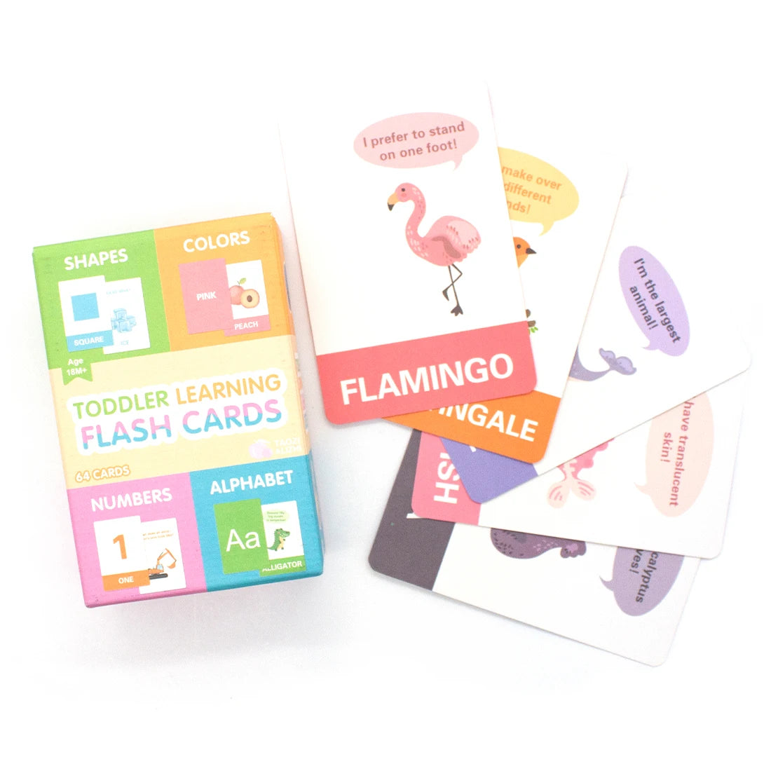 Learning and Development Flashcards