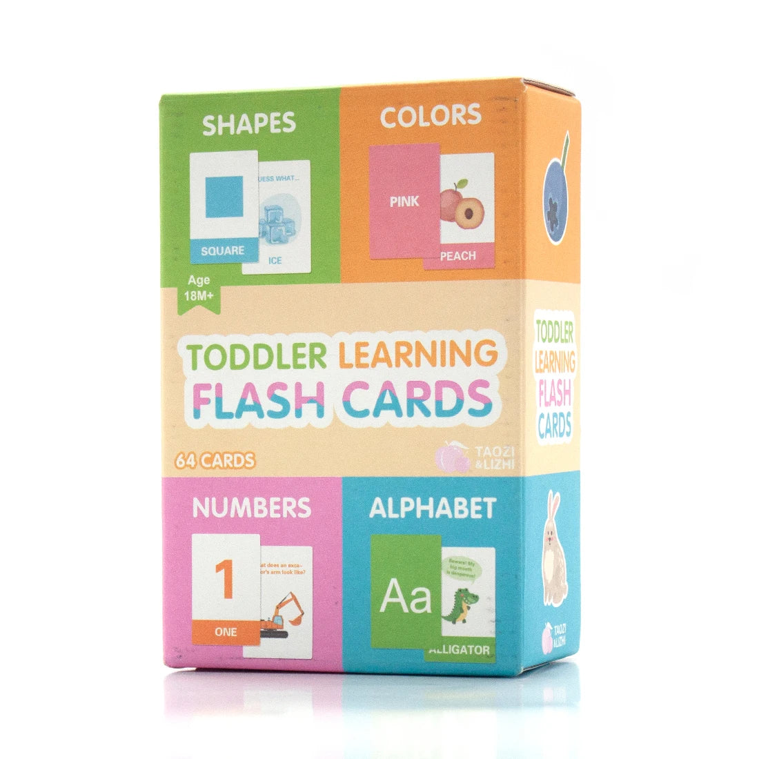 Learning and Development Flashcards